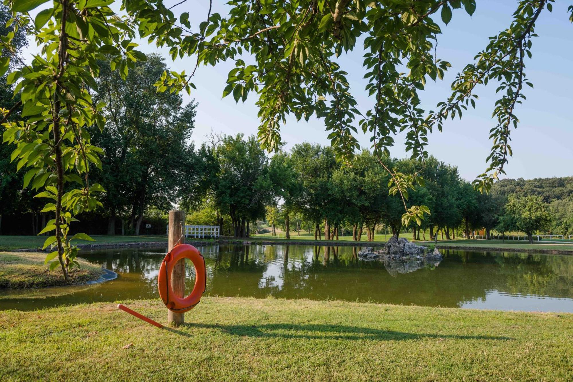 לינה וארוחת בוקר Alcsutdoboz Pannonia Golf & Country Club מראה חיצוני תמונה